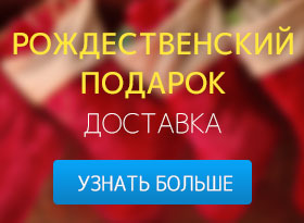 Викторина от Macgo 2014